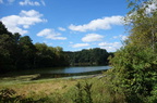 DSC01361